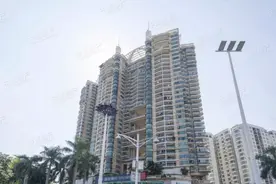 7字头上车福田口岸，繁华与悠闲的交界处图片