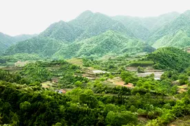 宝鸡“桃花源”，八渡牛心山图片