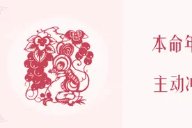 麦玲玲2020鼠年运程之十二生肖运势图片