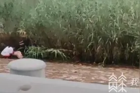 长江捕捞小鱼小虾 扬州这对夫妻双双被立案调查图片