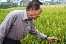因拍摄宣传片，袁隆平院士住进了新楼，等结束后，校方的做法真绝图片