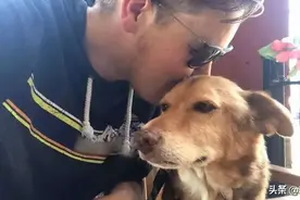 狗狗被锁住12年，一生只活了16天：下辈子，我们再爱你图片