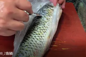 原来刮鱼鳞只用一个“塑料袋”，不脏手不飞溅，鱼鳞干净又卫生图片