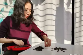 女子宅在家7天，用807颗瓜子拼出震撼美图，网友：你是贴瓷砖的吧图片
