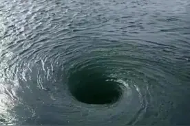 深海恐惧症的你能看到第几张？我的手都不敢放在屏幕上了图片