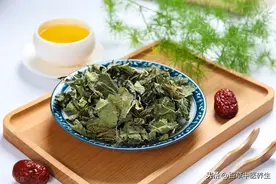 桑叶——清肝明目，疏散风热图片