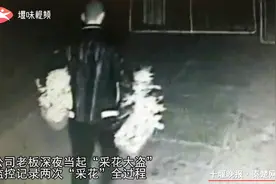 十堰公司老板变“采花大盗”，监控全拍下了……视频封面