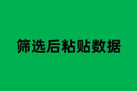 筛选后粘贴数据，难倒无数人，其实这3种方法都能轻松搞定图片