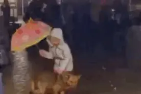 当宝宝和汪星人在一起，除了温暖治愈好处居然还有这么多图片