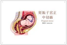 你知道女人生孩子有多疼吗图片