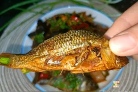 亲戚跨越200公里送一袋特产，老家味道看着丑吃着香，给钱也不换图片