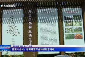 望谟八合村：芒果蔬菜产业持续助农增收图片