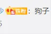武警战士拔河，军犬这波表现太优秀…图片