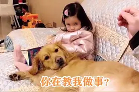故事：爸爸指责狗狗躺在女儿身上，没想到小棉袄漏风了，看了忍不住调侃图片