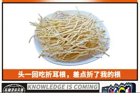 吃过一次折耳根，才明白大自然的残酷图片