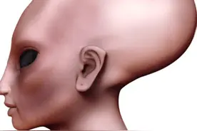 古代奇异人种揭秘（十）：“帕拉卡斯头骨”基因之谜图片