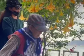 杨丽萍看望老母亲，手背青筋暴起，身材干瘦就是花甲之年的老人图片