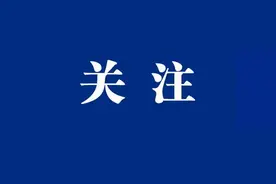 武清区领导深入京滨工业园现场推动重点项目建设图片