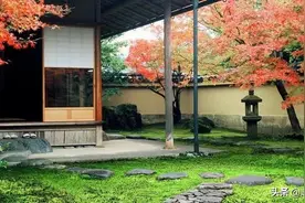 我们回不去了过往的从前（诗歌）图片
