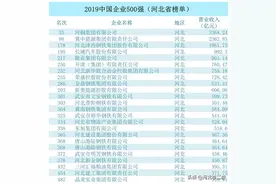 2019中国企业500强（河北省榜单前10名）图片
