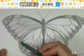 初级素描蝴蝶的画法步骤，画大轮廓、细节和明暗！适合新手学习图片