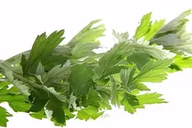 艾草和艾蒿难区分？3招教你辨真假，端午插艾别搞错图片