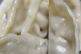 素三鲜饺子比肉的都香图片