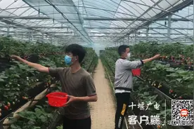 前三季度十堰GDP数据公布，多项指标全省靠前图片