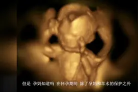 怀孕期间，胎宝是怎么“自我保护”的？看来小家伙的求生欲很强啊视频封面