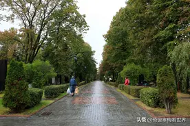 莫斯科新圣女公墓，安息在这里的每一个灵魂都有着非同凡响的一生图片
