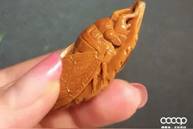 北方的冬天玩橄榄核，我还是太天真了图片