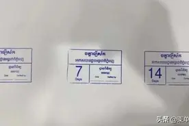 柬埔寨重开国门，网友：有用吗？来时容易回去难···图片