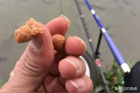 入冬后鱼总往深水跑，掌握这几个知识，鱼获才能蹭蹭上涨图片