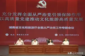 湖南省文化和旅游厅全面从严治党工作专题会议召开图片