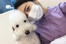 韩国美女Tony老师“换头术”爆红网络！网友：姐姐，救救我的狗头图片