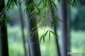 孔庆丰和带有神秘色彩的诗歌图片