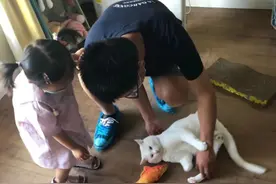 想打一针狂犬疫苗，真难！图片