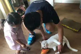 想打一针狂犬疫苗，真难！图片