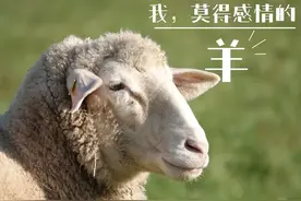 一场“有味道”的缝合操作培训图片