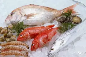 世界顶级海鲜，你认识几种？图片
