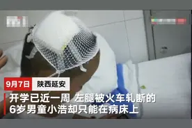 6岁男童从幼儿园后门溜出翻越铁路被火车撞伤 教育局：幼儿园有责任图片