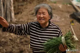 八旬大妈割韭菜塌菜馍 等着五一回家孩子们吃图片