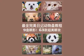 超美眼妆学习图片