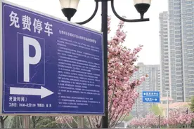 淄博市张店区确定首批免费向社会错时开放的党政机关事业单位停车场。图片