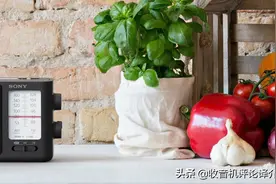 对于索尼收音机，除了满意和赞许，还有什么可说的？图片