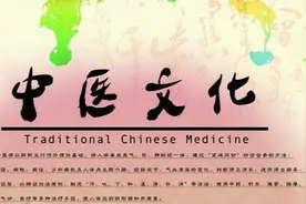 中医学的理论体系图片