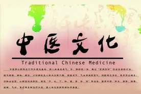中医学的理论体系图片