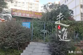 追踪:售楼部现已被拆除!莆田千年古荔枝树"宋家香"重见阳光!图片