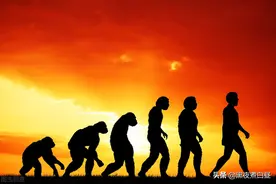 每天读一点世界史：人类的起源和发展图片