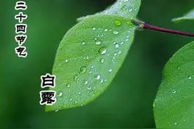 还有四天白露，白露是什么意思？什么时候真正入秋？答案在这里图片